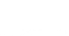 WebAssembly